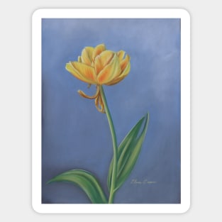 Yellow Tulip, welcome Spring! Sticker